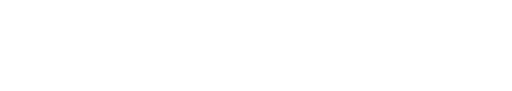 Phonehub IO logo